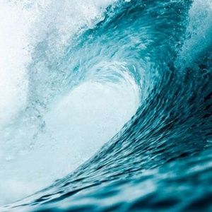 Meet your Posher, Dee